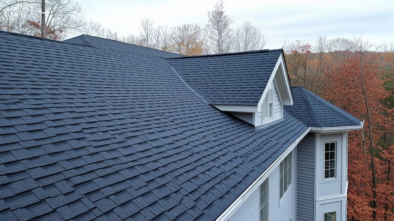 Asphalt Roof Service detail